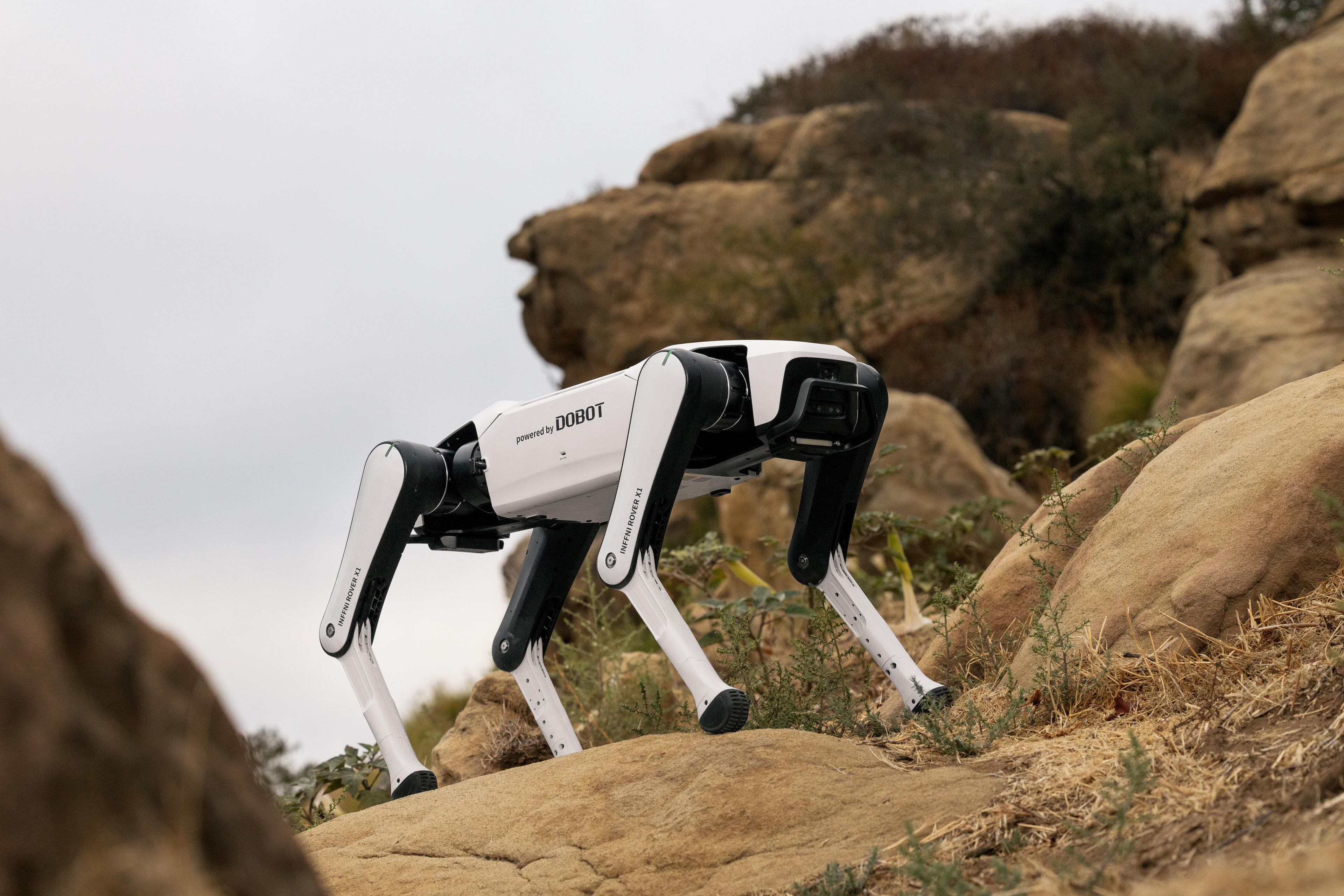 https://a.storyblok.com/f/298593/6181x4121/007c4fb87e/rover-x1-7.jpg